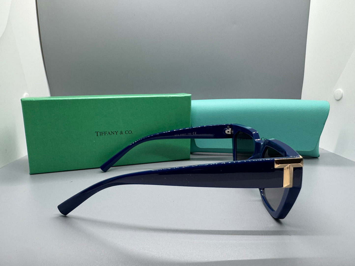 SUNGLASESS TF NAVY